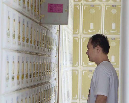 《彼岸》纪录片封面