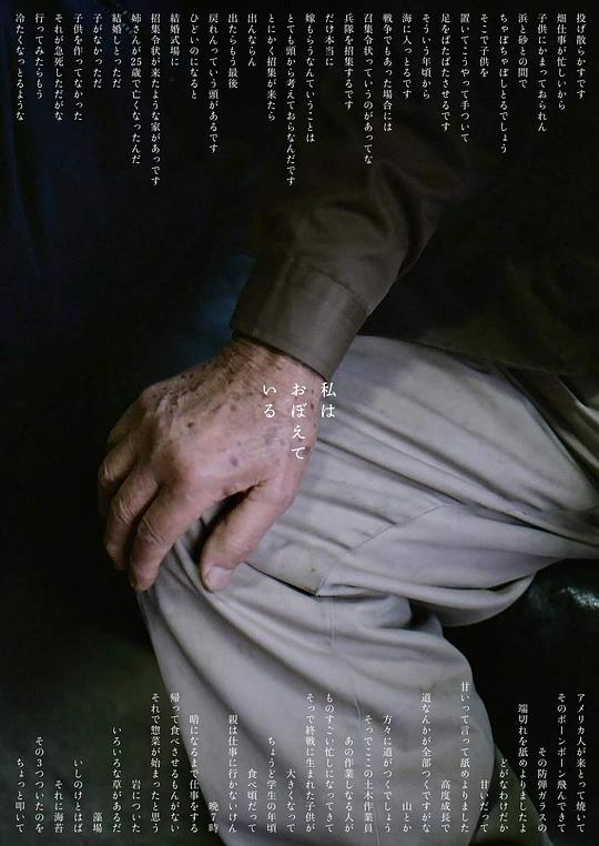 《我记得》纪录片封面