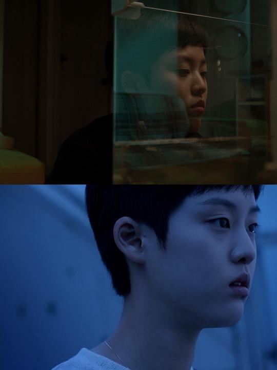 《乌龟死了》电影封面