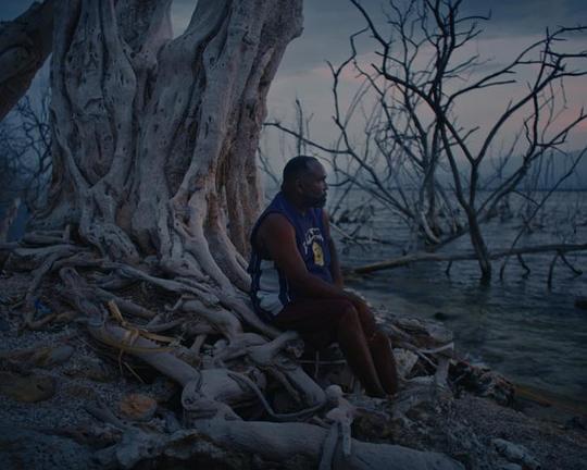 《Los cuatro vientos》纪录片封面