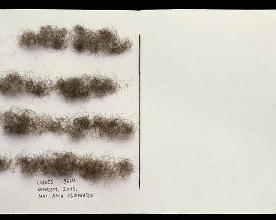 《Glückspfad》动画封面