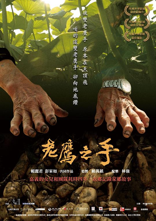 《老鹰之手》纪录片封面