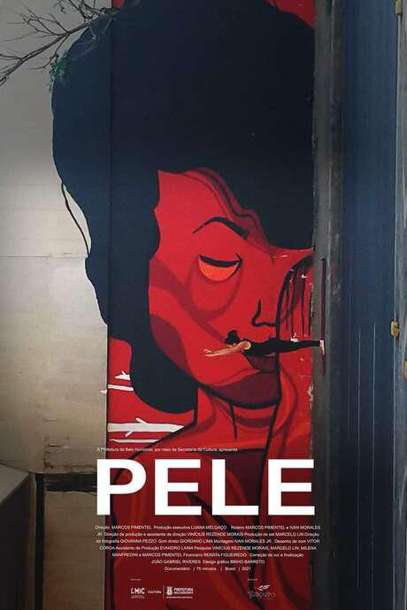 《城市纹理》纪录片封面