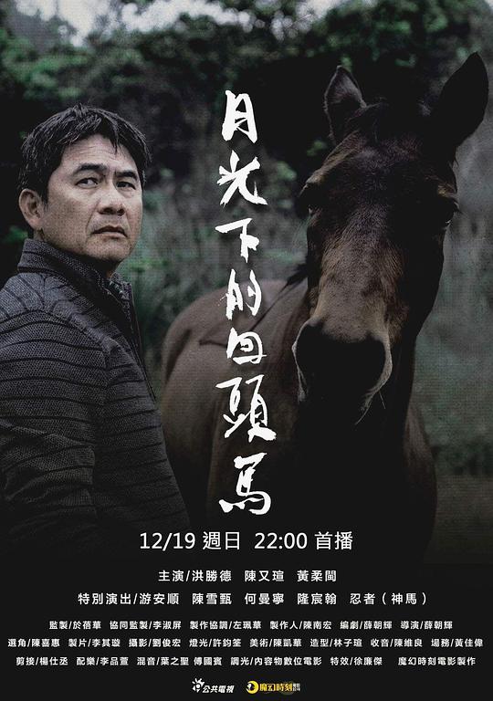 《月光下的回头马》电影封面