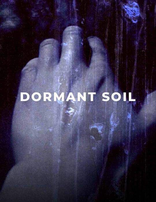 《Dormant Soil / Concrete Reflections》纪录片封面