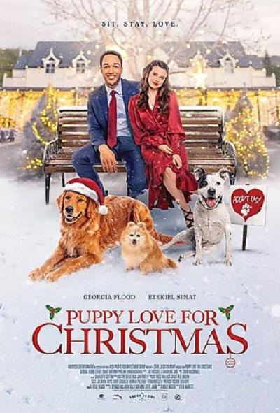 《Sit. Stay. Love.》电影封面