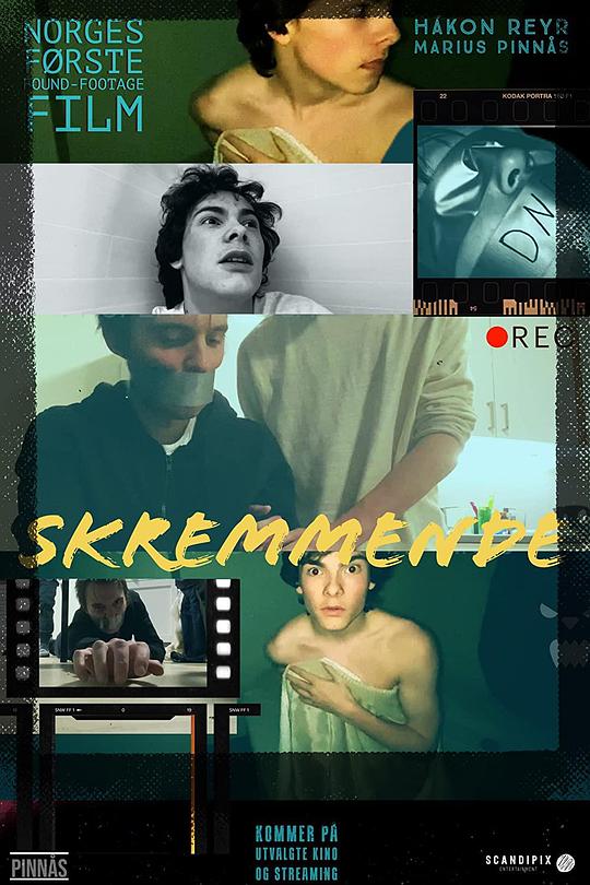 《恐怖的事情》电影封面