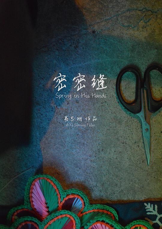 《密密缝》电影封面