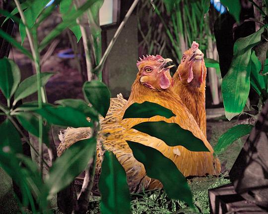 《The Trace of the Box – Technicalized Good People》电影封面