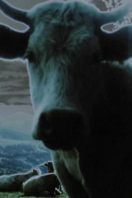 《Darkness, Darkness, Burning Bright – Prelude》电影封面