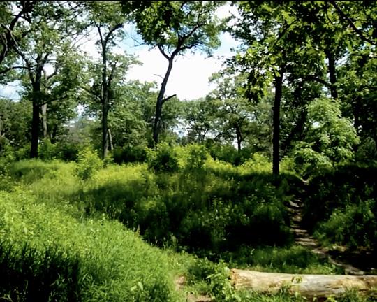 《Shadowboxing》电影封面