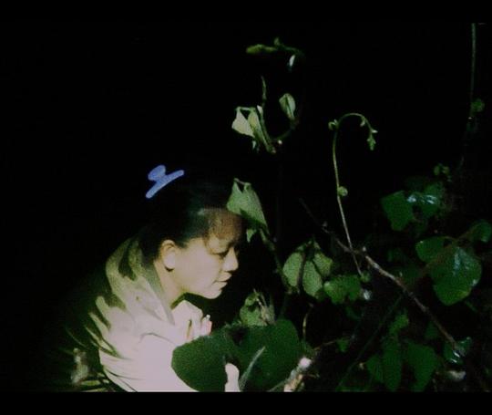 《生与熟》纪录片封面