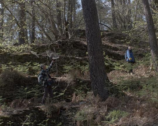 《清晨的画眉鸟》纪录片封面