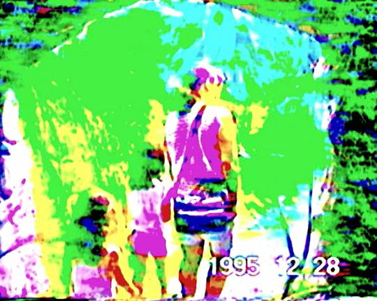 《home, sweet home》电影封面