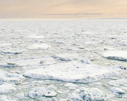 《Grande Polyphonie》电影封面