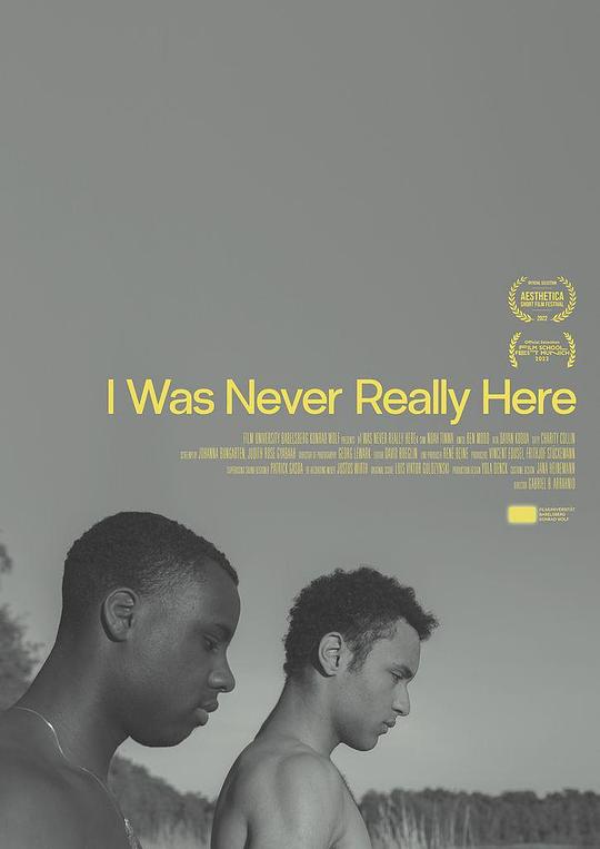 《我未曾在此处》电影封面