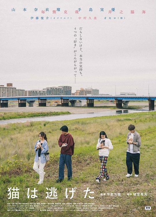 《猫猫逃走了》电影封面