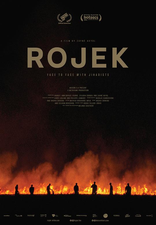 《漩涡》纪录片封面