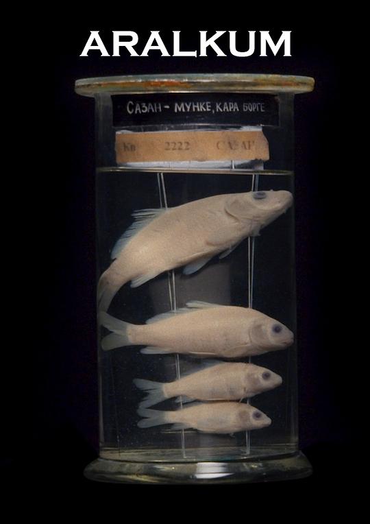 《咸海沙漠》纪录片封面