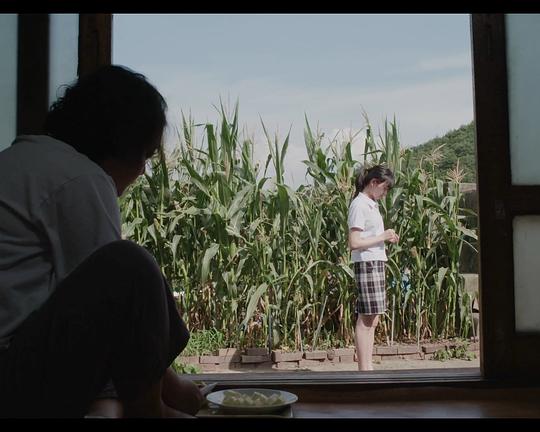 《Bone and Flesh》电影封面