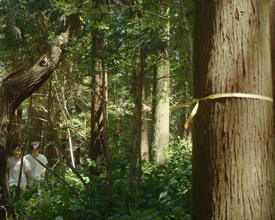 《在干涸的溪流中》电影封面