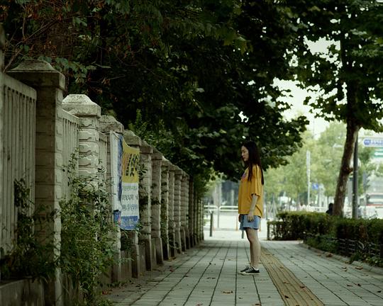 《The Banners》电影封面