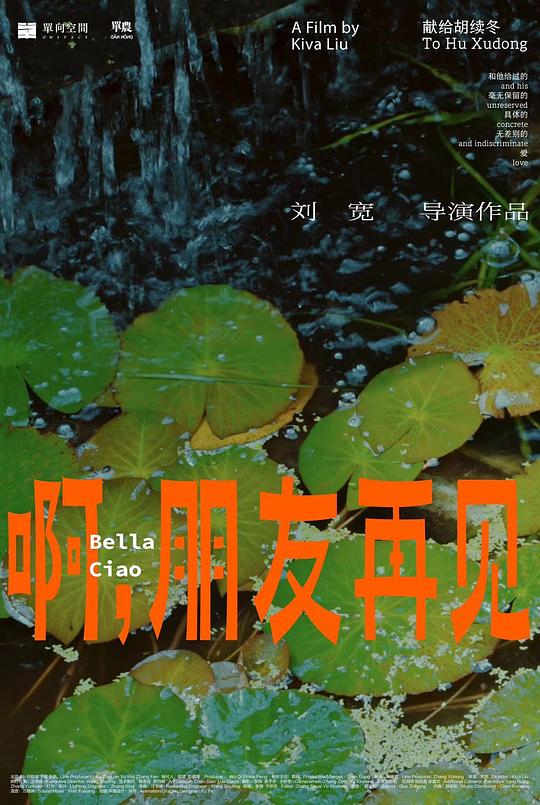 《啊，朋友再见》纪录片封面