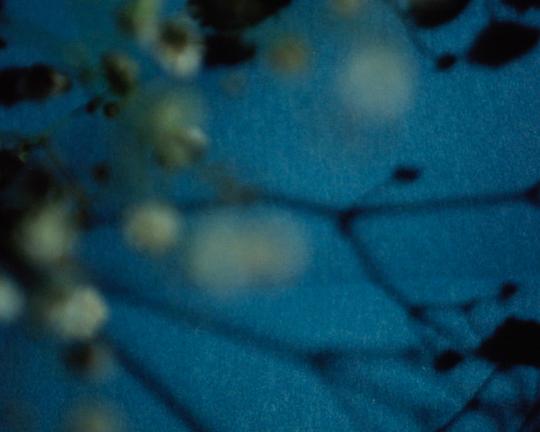 《臨摹（另一種版本）》电影封面