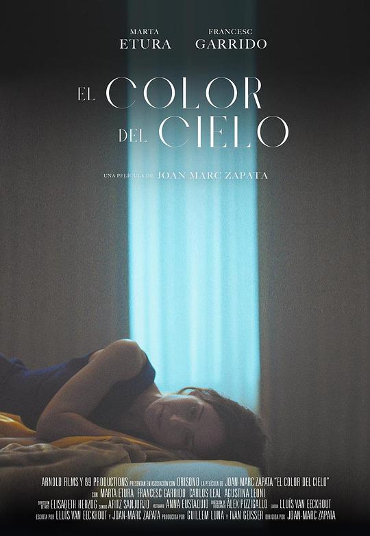 《El color del cielo》电影封面