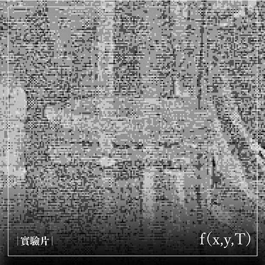 《f(x,y,T)》电影封面