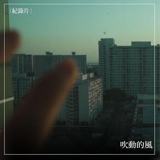 《吹動的風》纪录片封面