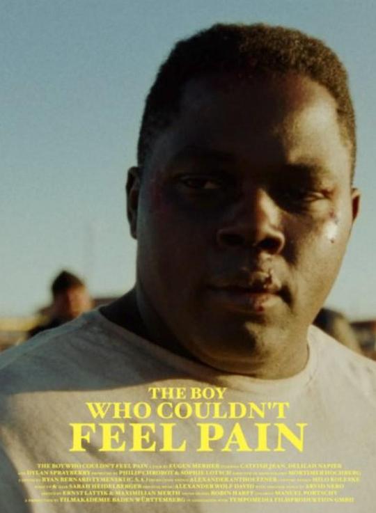 《The Boy Who Couldn't Feel Pain》电影封面