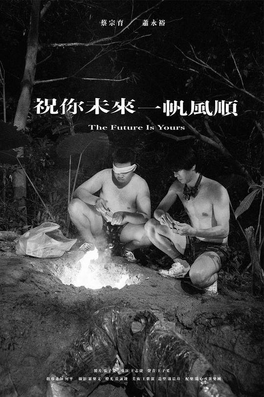 《祝你未來一帆風順》电影封面