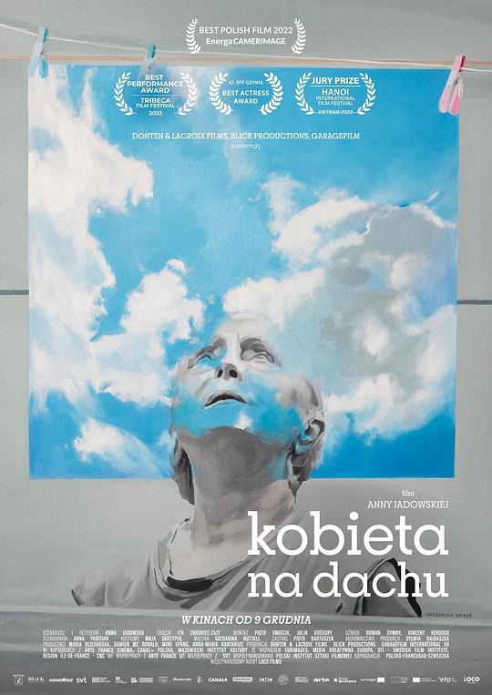 《屋顶上的女人》电影封面