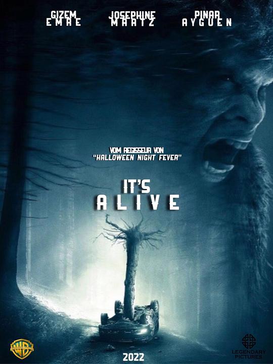 《大脚怪后遗症》电影封面