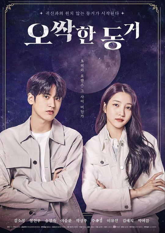 《令人毛骨悚然的同居》电影封面