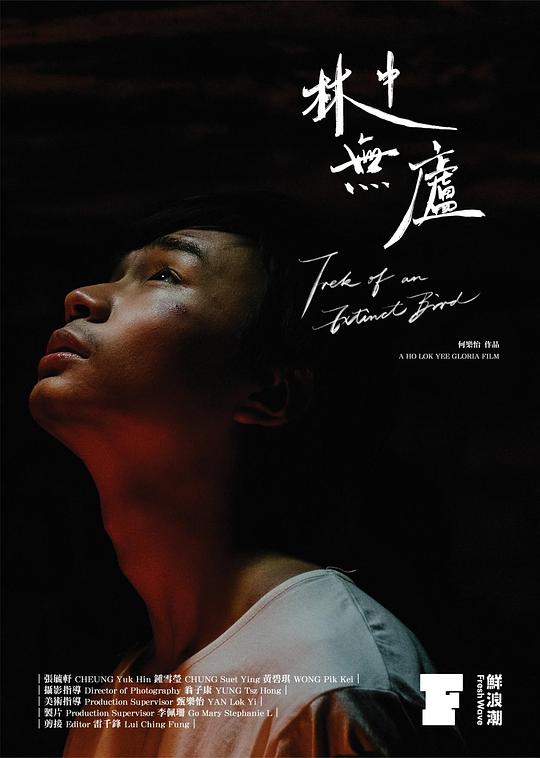 《林中无庐》电影封面