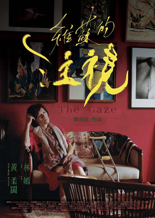 《维苏的注视》电影封面