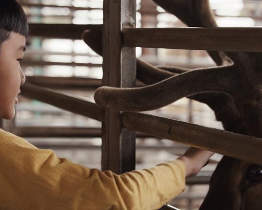 《陀陀》电影封面