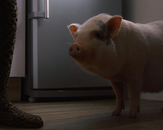 《Das fantastische Leben der Ms Bacon》电影封面