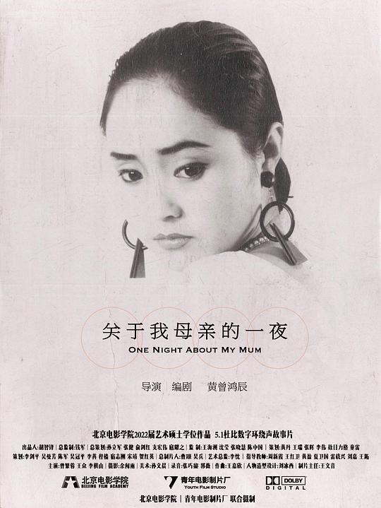 《关于我母亲的一夜》电影封面