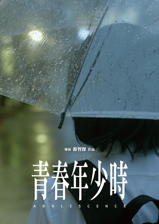 《青春年少时》电影封面
