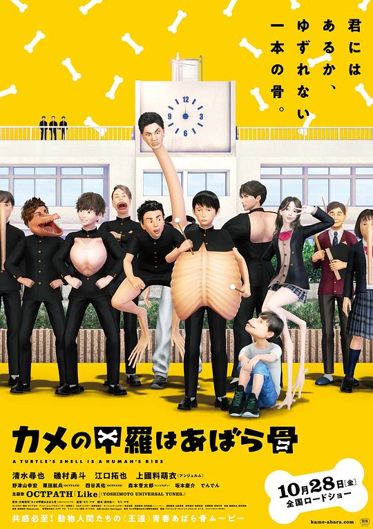 《乌龟的壳其实是肋骨》动画封面