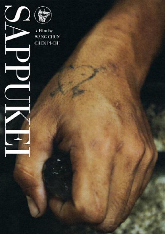 《杀风景》电影封面