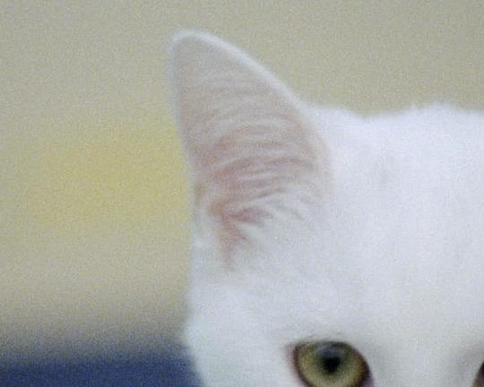 《After Work》电影封面