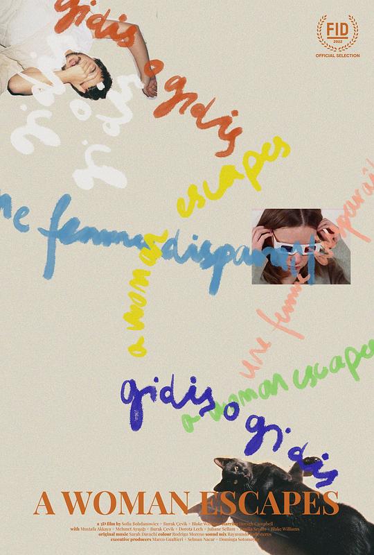 《逃跑的女人》电影封面