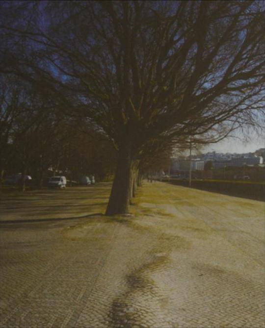 《Quarries》电影封面