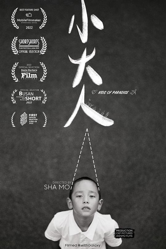 《小大人》电影封面