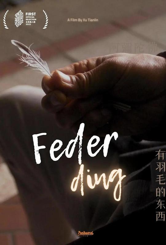 《有羽毛的东西》电影封面