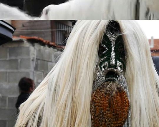 《火之湖》电影封面